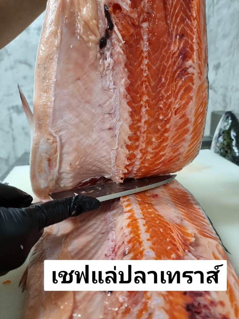 แซลมอน VS เทราส์ เชฟทำการแล่ปลาเทราต์