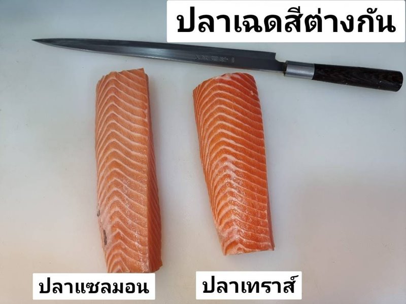 แซลมอน VS เทราส์ ลักษณะเนื้อ ปลาแซลมอน กับ ปลาเทราต์