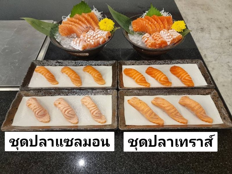 แซลมอน VS เทราส์ เมนูอาหาร ชุดปลาแซลมอน กับ ชุดปลาเทราต์