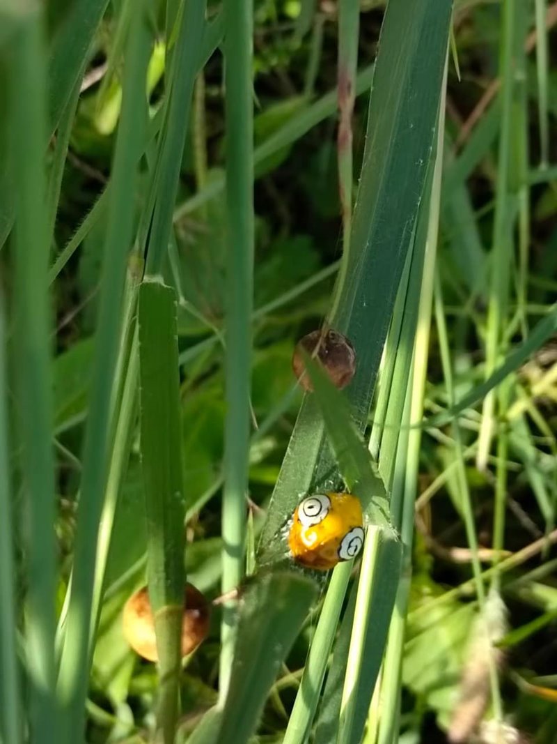 นี่ตัวอะไร นี่ตัวอะไร