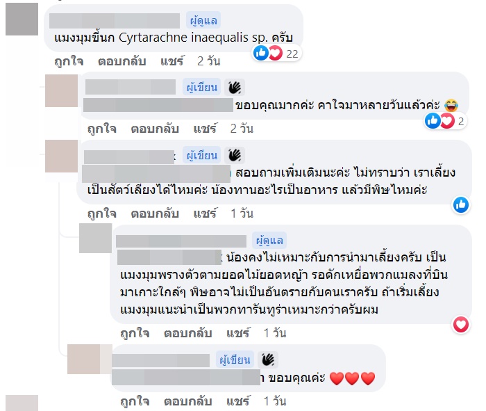 นี่ตัวอะไร นี่ตัวอะไร