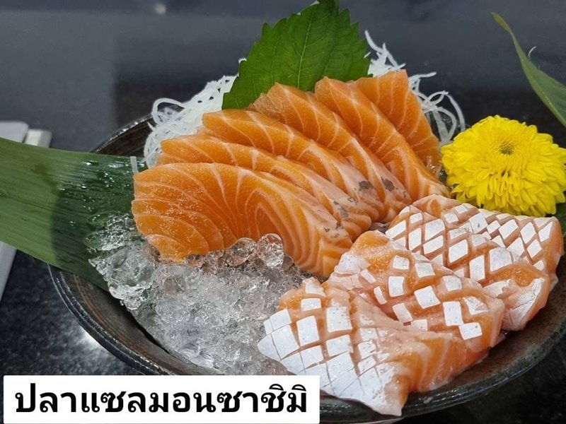 แซลมอน VS เทราส์ ปลาแซลมอนซาชิมิ