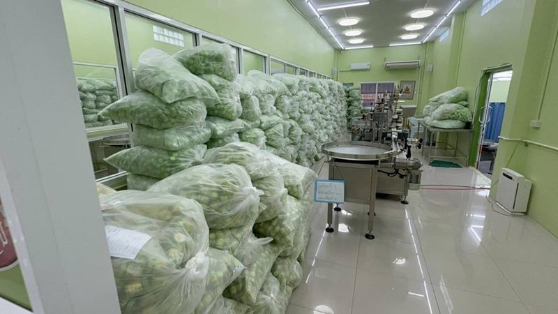 ทลายโรงงานเถื่อน ยาดมยี่ห้อดัง หลังมีข่าวพบปนเปื้อน ของกลางกว่า 2 ล้านชิ้น ทลายโรงงานเถื่อน ยาดมยี่ห้อดัง หลังมีข่าวพบปนเปื้อน ของกลางกว่า 2 ล้านชิ้น