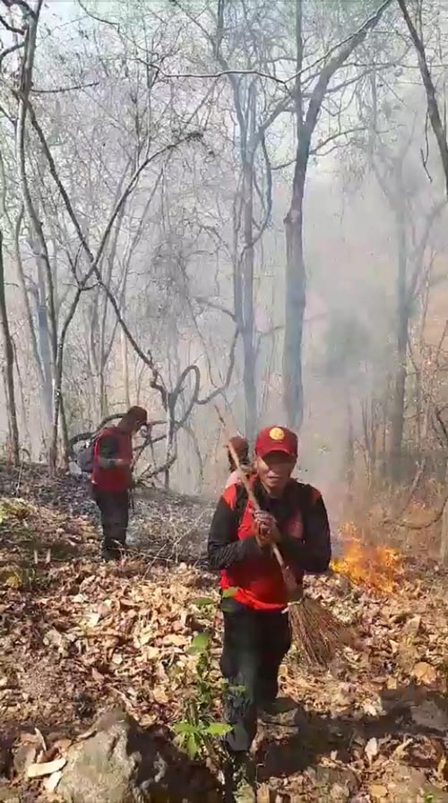 เผาป่าลำปาง เผาป่าลำปาง