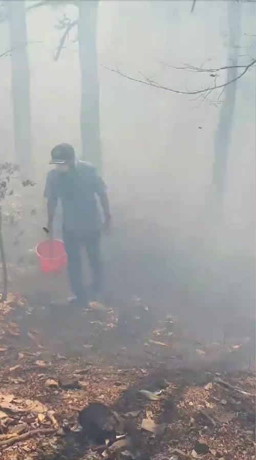 เผาป่าลำปาง เผาป่าลำปาง