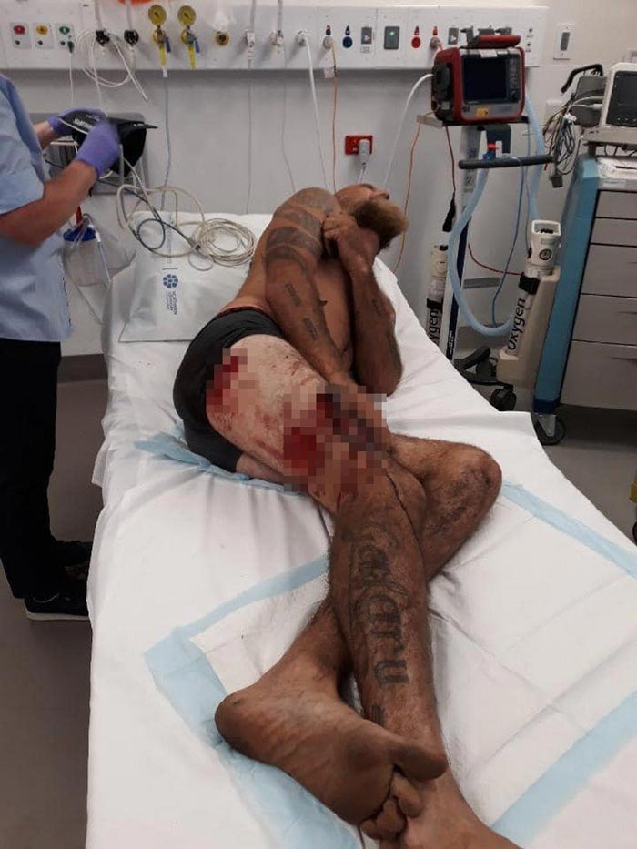 ควายป่าขวิดพราน ควายป่าขวิดพราน