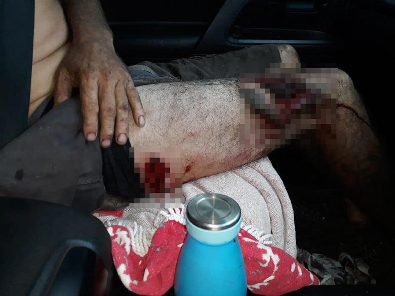 ควายป่าขวิดพราน ควายป่าขวิดพราน