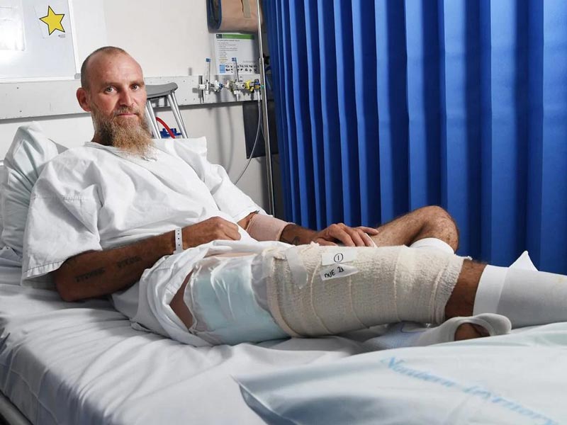 ควายป่าขวิดพราน ควายป่าขวิดพราน