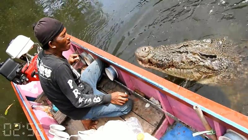 คนกับจระเข้ คนกับจระเข้
