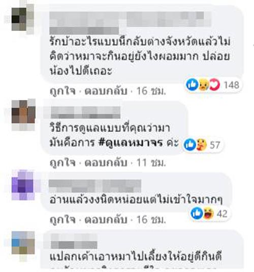 น้องหมูทะ น้องหมูทะ