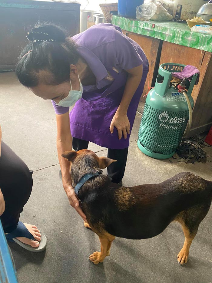 น้องหมูทะ น้องหมูทะ