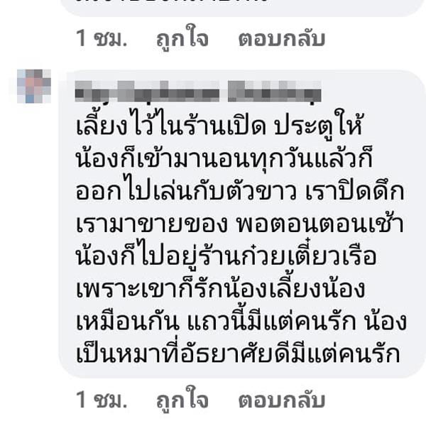 น้องหมูทะ น้องหมูทะ