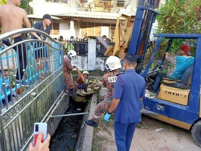 จระเข้ยักษ์ จระเข้ยักษ์