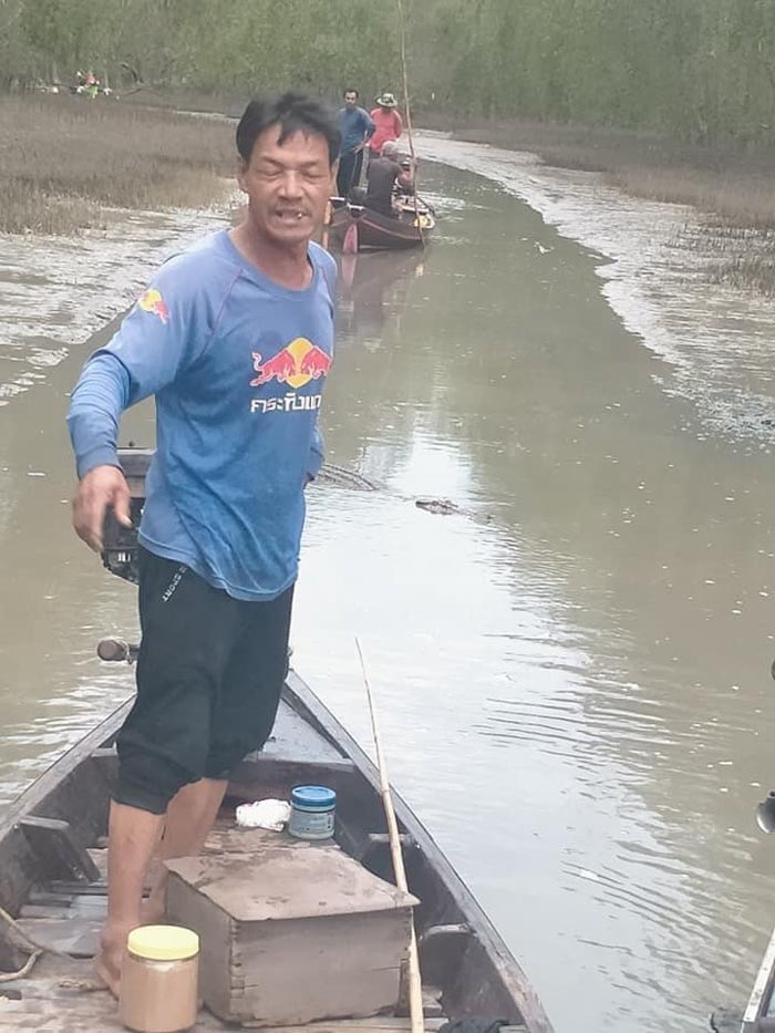 จระเข้น้ำเค็ม จระเข้น้ำเค็ม