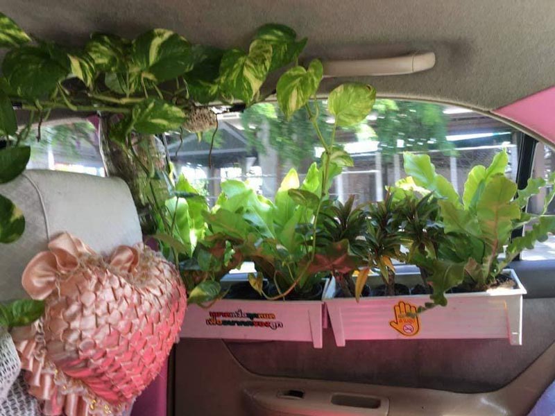 แท็กซี่สายเขียว แท็กซี่สายเขียว