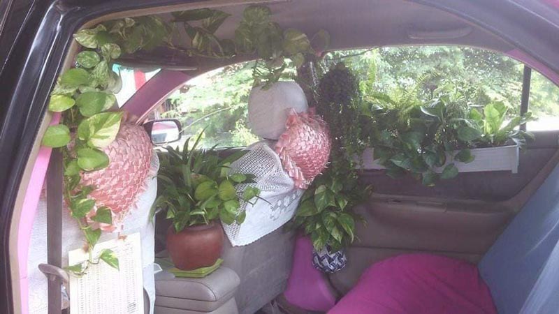 แท็กซี่สายเขียว แท็กซี่สายเขียว