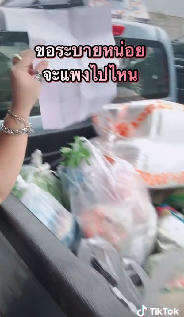 ผักแพง ผักแพง