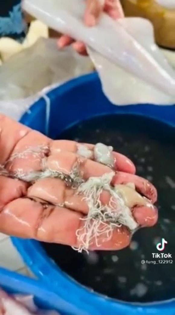 ปลาหมึก ปลาหมึก