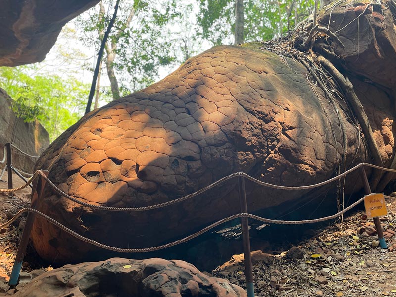 ถ้ำนาคา ถ้ำนาคา