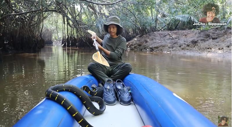 โจโฉ งูตกใส่เรือ โจโฉ งูตกใส่เรือ