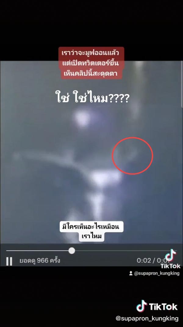 แตงโม นิดา แตงโม นิดา