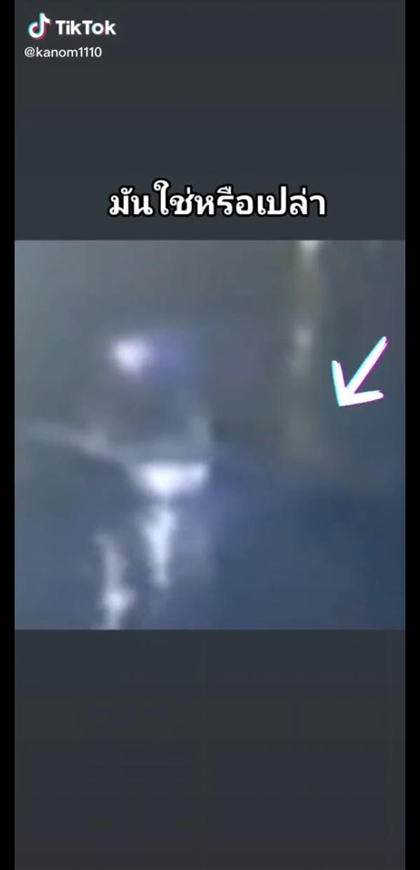 แตงโม นิดา แตงโม นิดา