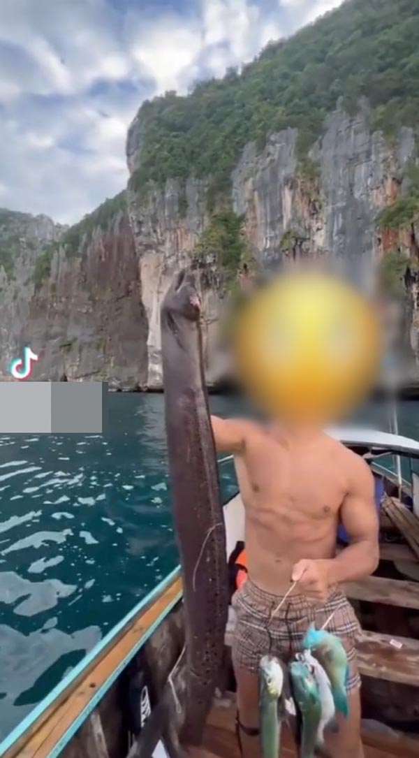 ฝรั่งจับปลานกแก้ว ฝรั่งจับปลานกแก้ว