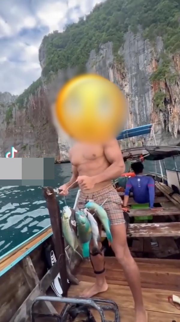 ฝรั่งจับปลานกแก้ว ฝรั่งจับปลานกแก้ว