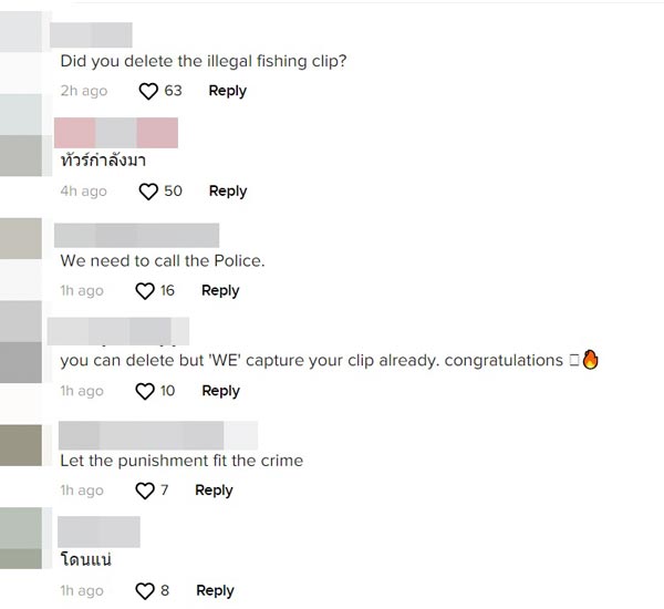 ฝรั่งจับปลานกแก้ว ฝรั่งจับปลานกแก้ว