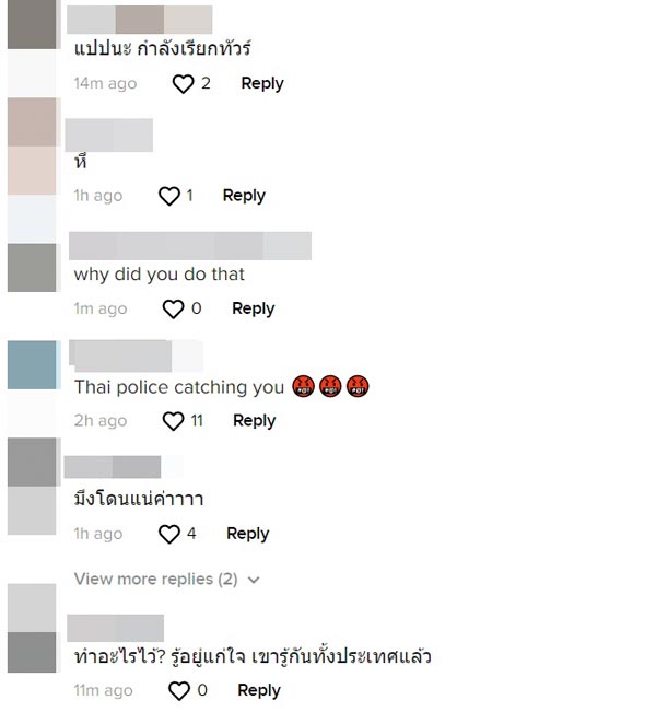 ฝรั่งจับปลานกแก้ว ฝรั่งจับปลานกแก้ว