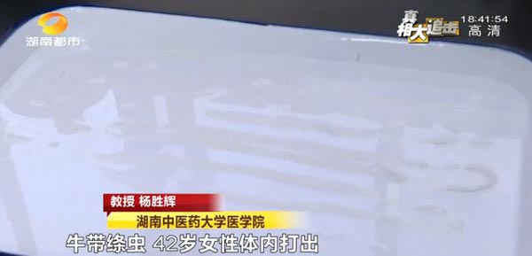 พยาธิตัวตืด พยาธิตัวตืด