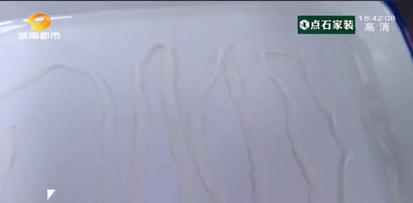 พยาธิตัวตืด พยาธิตัวตืด