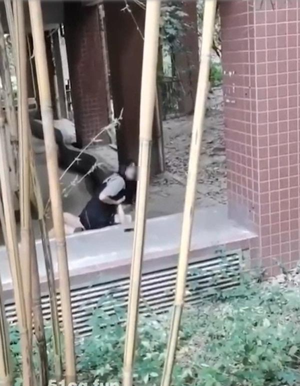 เมียหลวงตบเมียน้อย เมียหลวงตบเมียน้อย