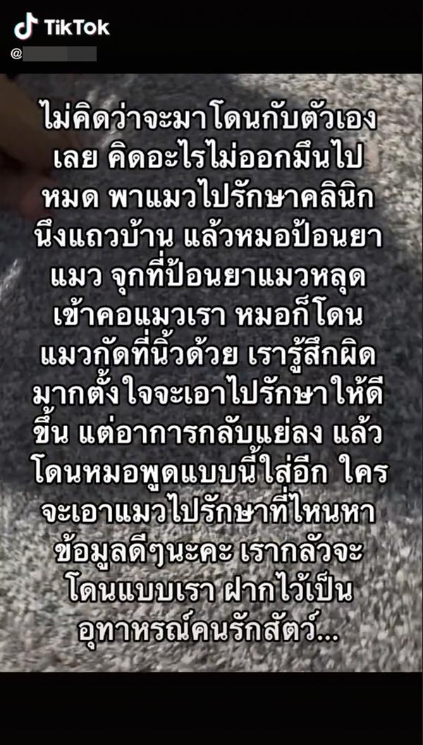 ดราม่าสัตวแพทย์ทำแมวตาย ดราม่าสัตวแพทย์ทำแมวตาย