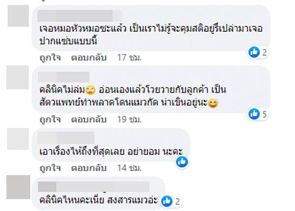 ดราม่าสัตวแพทย์ทำแมวตาย ดราม่าสัตวแพทย์ทำแมวตาย