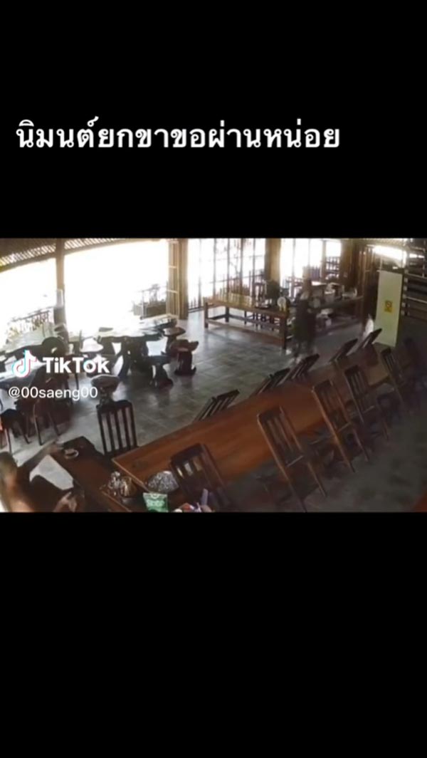 งูจงอาง ไม่กัดพระ งูจงอาง ไม่กัดพระ