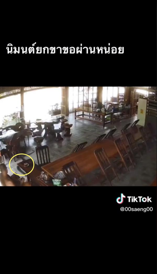 งูจงอาง ไม่กัดพระ งูจงอาง ไม่กัดพระ