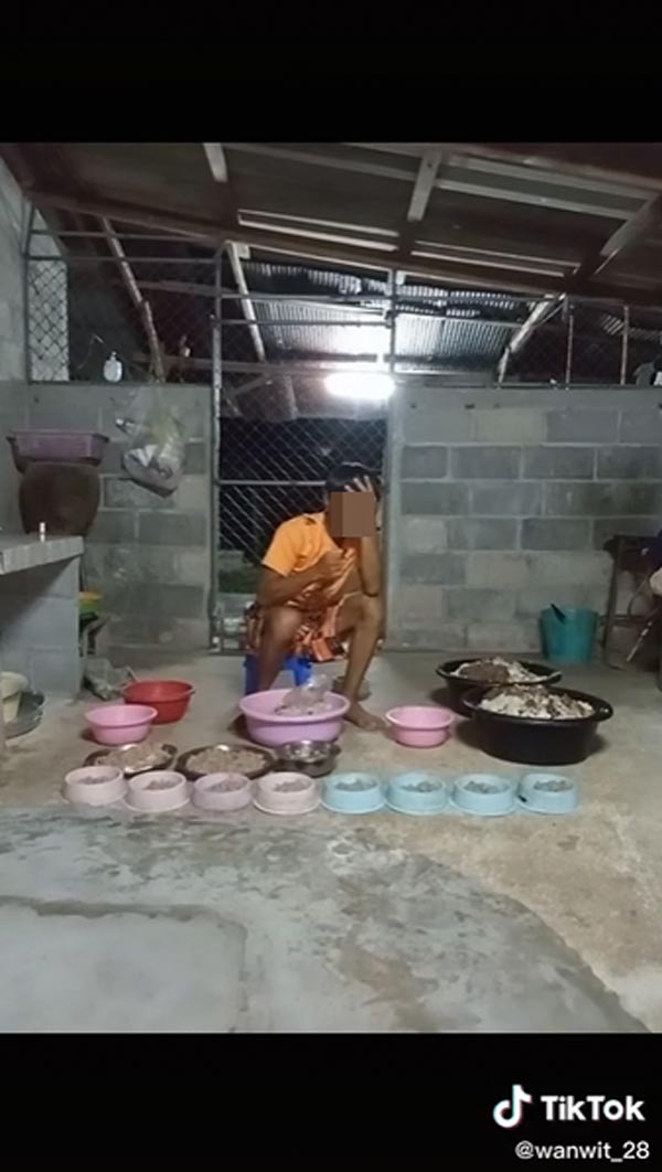 ชักกลางไลฟ์ ชักกลางไลฟ์