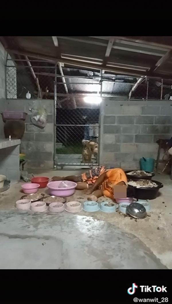 ชักกลางไลฟ์ ชักกลางไลฟ์