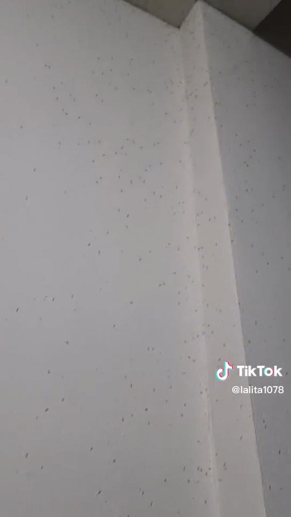 กองทัพยุงบุกบ้าน กองทัพยุงบุกบ้าน