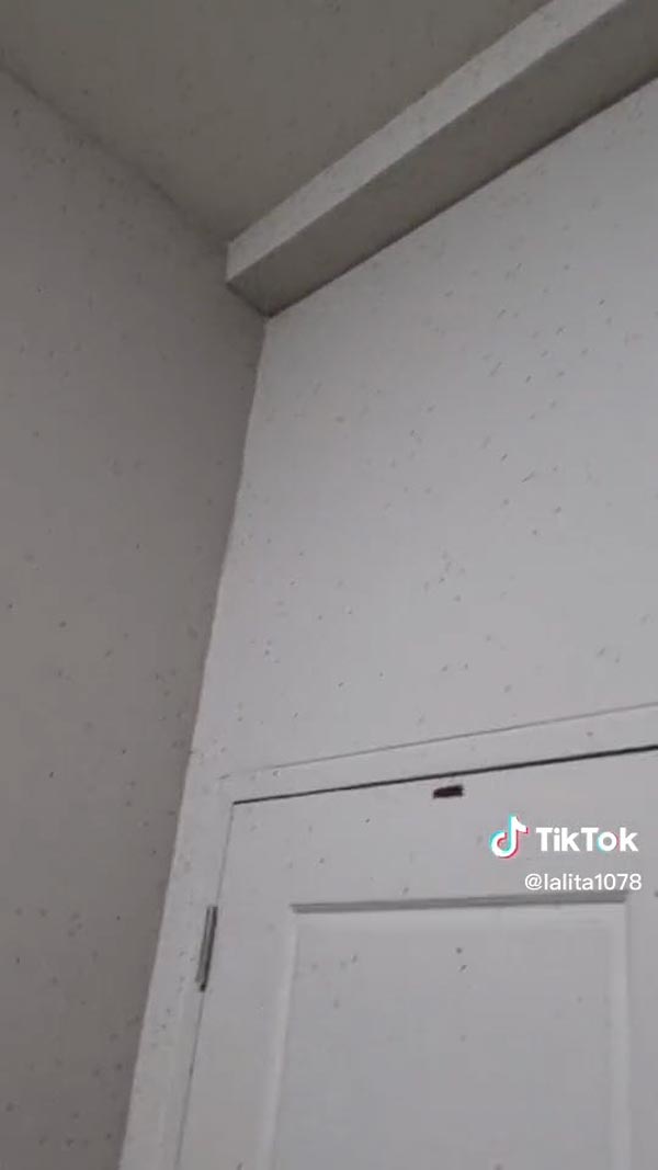 กองทัพยุงบุกบ้าน กองทัพยุงบุกบ้าน