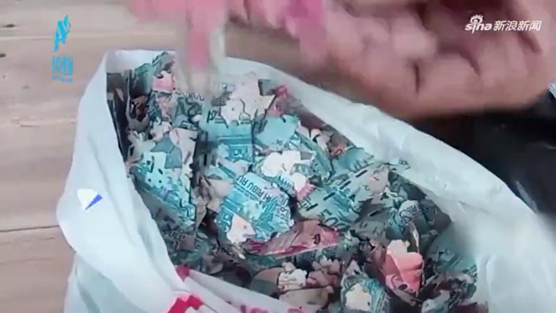 ปลวกกินเงิน ปลวกกินเงิน