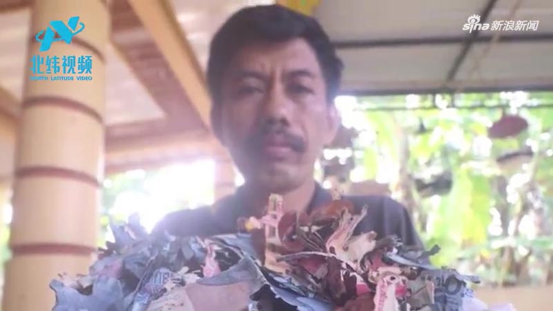 ปลวกกินเงิน ปลวกกินเงิน