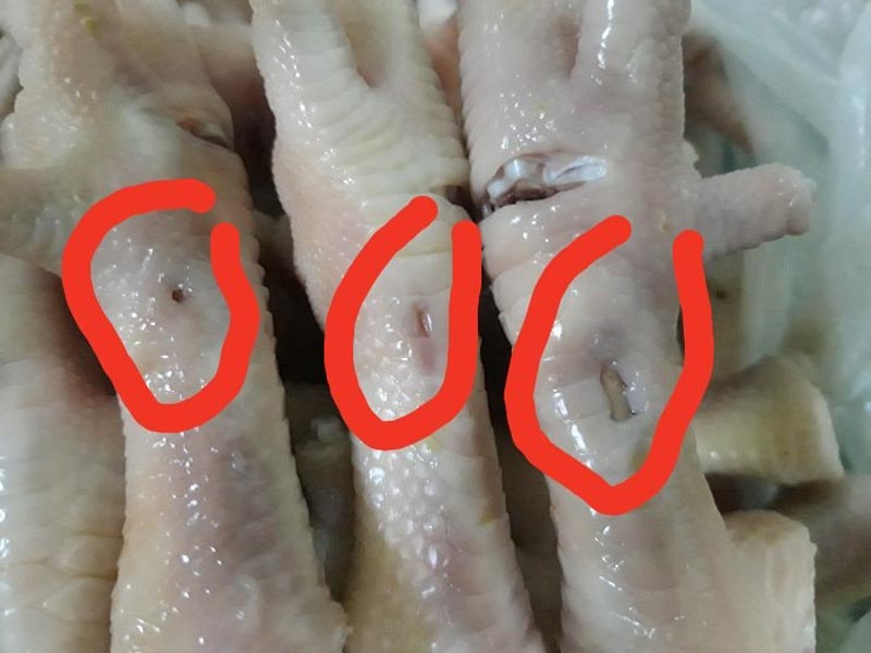 รอยรูฉีดยาในไก่ รอยรูฉีดยาในไก่