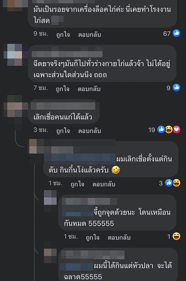 รอยรูฉีดยาในไก่ รอยรูฉีดยาในไก่