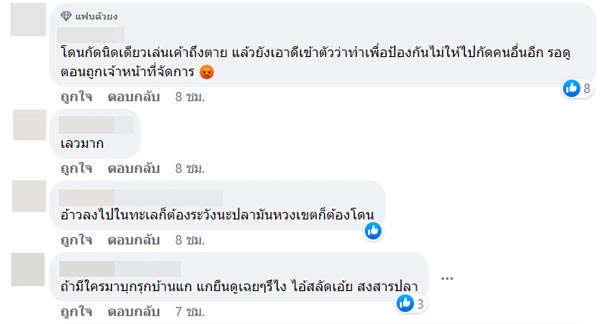 ครูสอนดำน้ำฆ่าปลา ครูสอนดำน้ำฆ่าปลา
