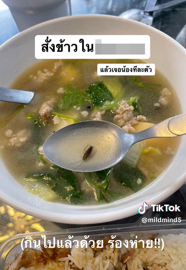 แมลงสาบในอาหาร แมลงสาบในอาหาร