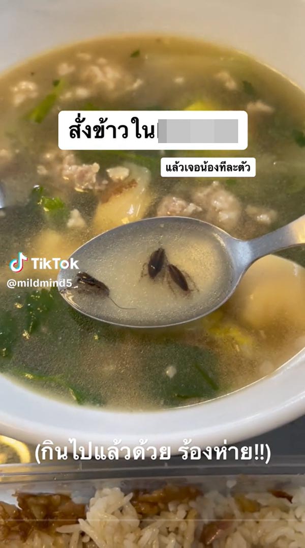 แมลงสาบในอาหาร แมลงสาบในอาหาร