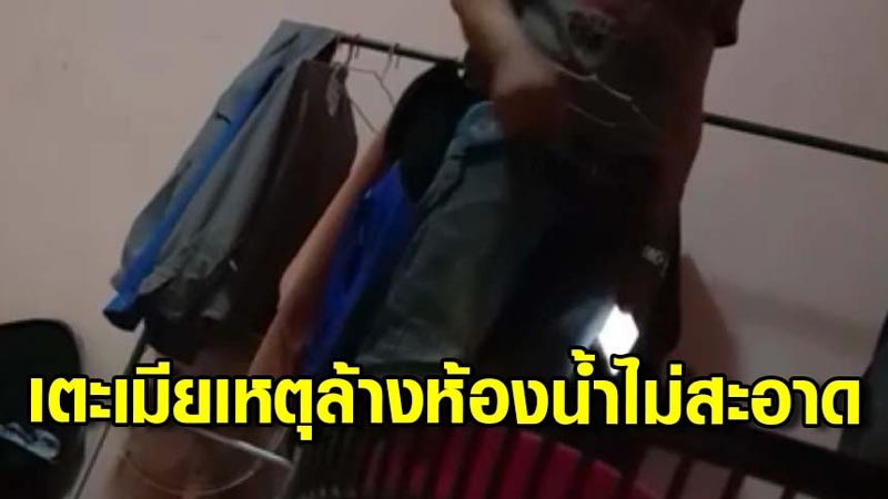 ผัวเตะเมีย ผัวเตะเมีย