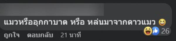 แมวตกใส่รถกระจกแตก แมวตกใส่รถกระจกแตก